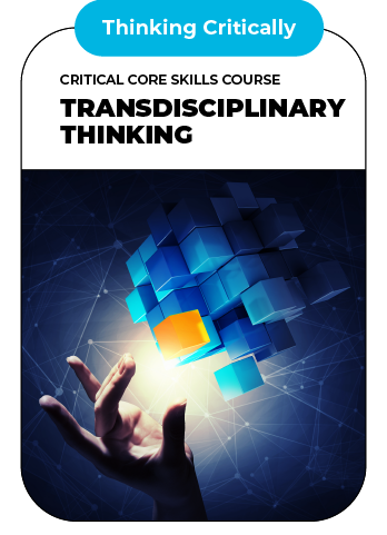 Transdisciplinary Thinking