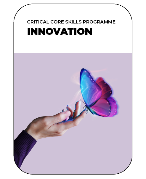 Innovation Programme
